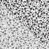 Viscosa Bosque Blanco - Ribes y Casals