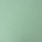 Viscose Lisa Verde Menta - Ribes y Casals