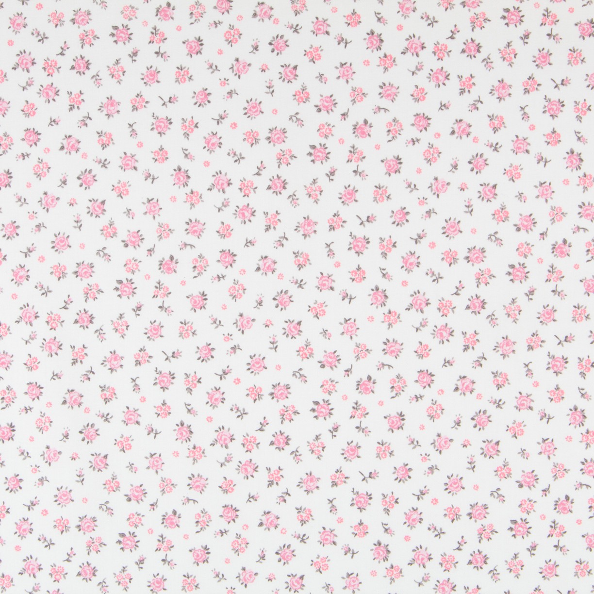 Tela online - Ribes y Casals