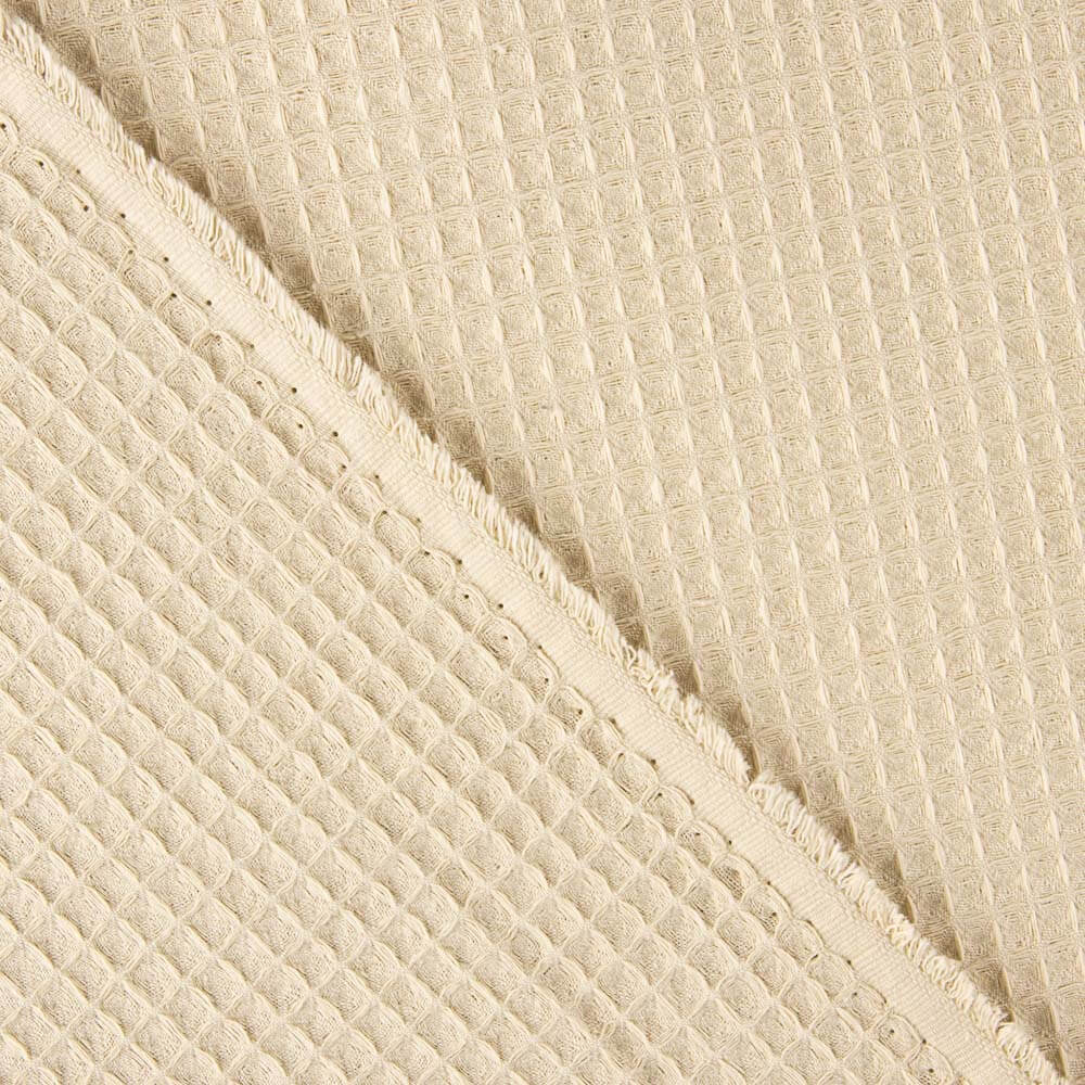 Waffle Arena - Ribes y Casals